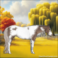 Horse Color:Silver Black Sabino Tobiano Frame 