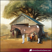 Horse Color:Brown Dun Tobiano 