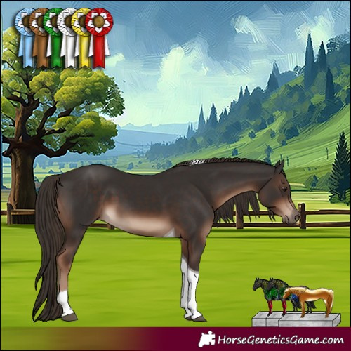 Horse Color:Liver Chestnut Tobiano 