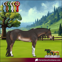 Horse Color:Liver Chestnut Tobiano 