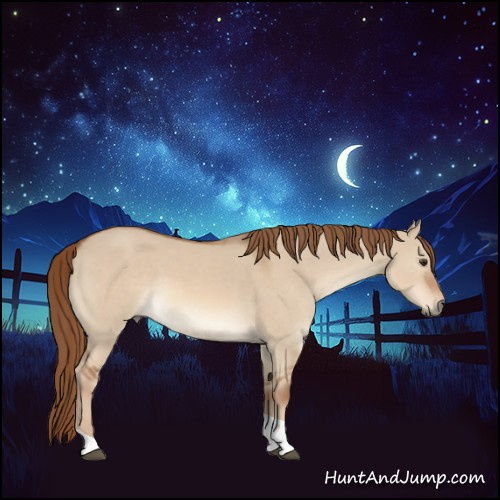 Horse Color:Red Dun Tobiano 