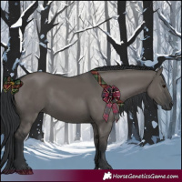 Horse Color:Grullo