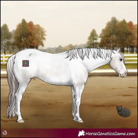 Horse Color:Brown Roan Tobiano Frame Appaloosa Rabicano 