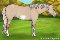 Horse Color:Silver Bay Dun Sabino Tobiano Frame Rabicano