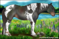 Horse Color:Liver Chestnut Tobiano 