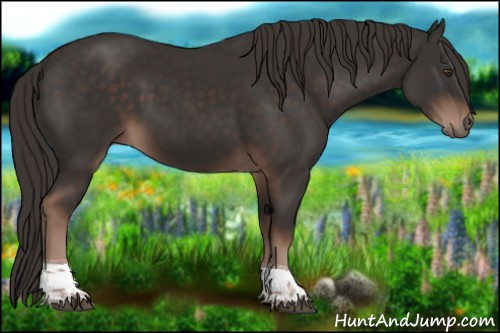 Horse Color:Liver Chestnut Tobiano 