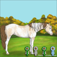 Horse Color:White Spotted Buckskin Pearl Dun Rabicano 
