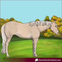 Horse Color:Cremello 