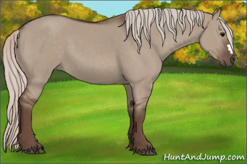 Horse Color:Silver Grullo 