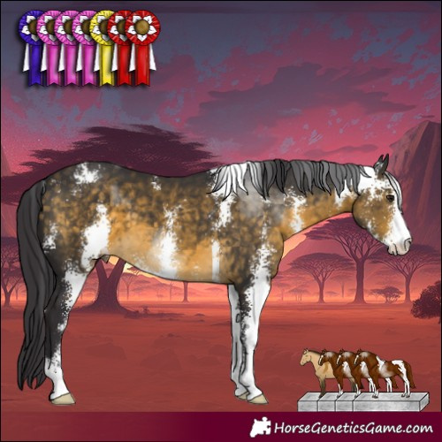 Horse Color:Buckskin Sabino 