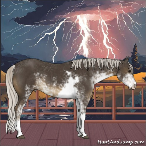 Horse Color:Silver Smoky Black Sabino 