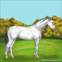 Horse Color:Grullo Sabino Splash Tobiano Frame 