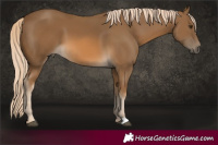 Horse Color:Chocolate Palomino 