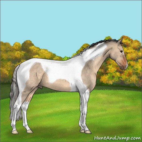 Horse Color:Bay Dun Tobiano 