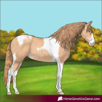Horse Color:Gold Champagne Tobiano 
