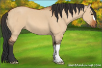 Horse Color:Bay Dun