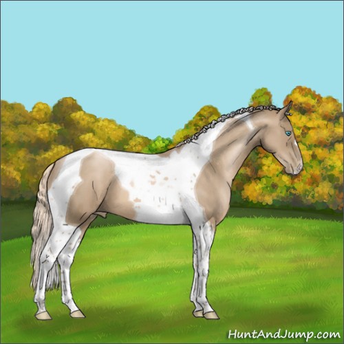 Horse Color:Chocolate Palomino Pearl Tobiano 