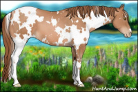 Horse Color:White Spotted Brown Pearl 