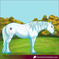 Horse Color:Gray Thunderstruck Silver Grullo Roan Blanket