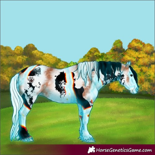 Horse Color:Thunderstruck White Spotted Silver Bay Splash Tobiano 