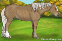 Horse Color:Silver Smoky Blue Roan 