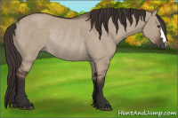 Horse Color:Liver Red Dun Rabicano 