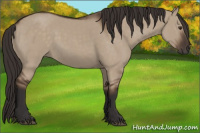 Horse Color:Liver Red Dun Rabicano 