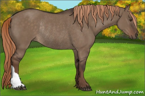 Horse Color:Liver Red Dun Rabicano 