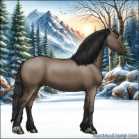 Horse Color:Liver Red Dun Rabicano 