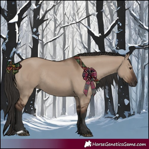 Horse Color:Liver Red Dun Rabicano