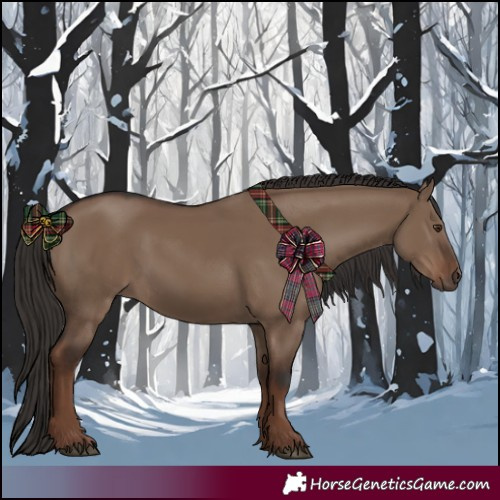 Horse Color:Liver Red Dun Rabicano 
