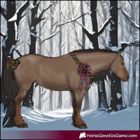 Horse Color:Liver Red Dun Rabicano