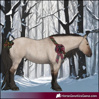 Horse Color:Liver Red Dun Roan Rabicano 