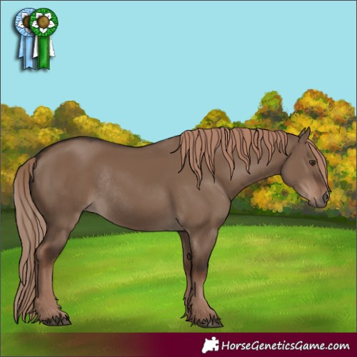 Horse Color:Liver Red Dun Rabicano 