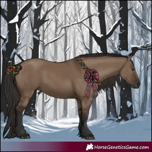 Horse Color:Liver Red Dun Rabicano 