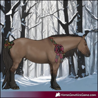 Horse Color:Liver Red Dun Rabicano