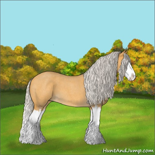 Horse Color:Silver Buckskin Roan Splash 