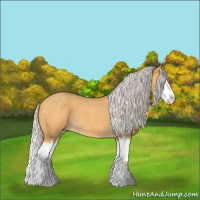 Horse Color:Silver Buckskin Roan Splash