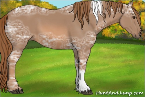 Horse Color:Chestnut Ice Sabino Tobiano 