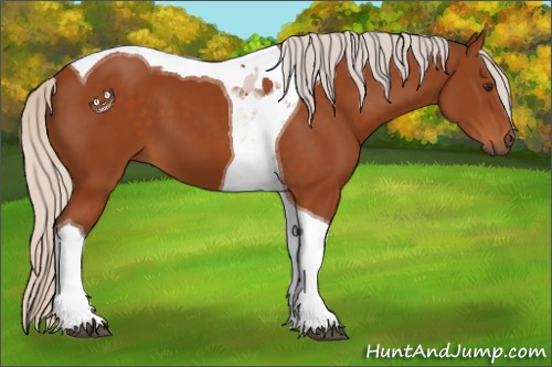 Horse Color:Silver Buckskin Tobiano 