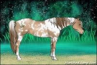 Horse Color:White Spotted Liver Chestnut Pearl
