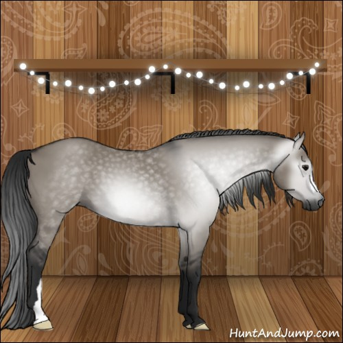Horse Color:Gray Grullo 