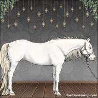Horse Color:Amber Cream Champagne Roan Pearl and White Spotted Amber Cream Champagne Roan Pearl