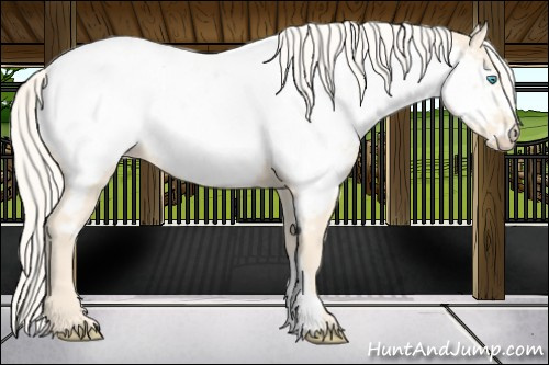 Horse Color:Cremello Near Fewspot