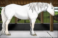 Horse Color:Cremello Near Fewspot 