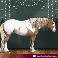 Horse Color:Chocolate Palomino Snowcap 