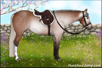 Horse Color:Gray Silver Bay 