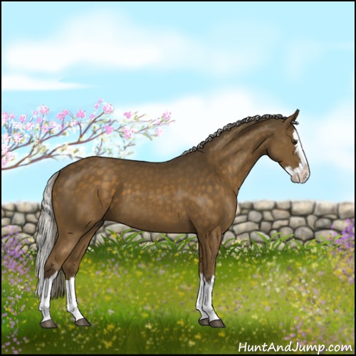 Horse Color:Chocolate Palomino Splash