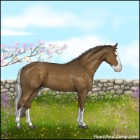 Horse Color:Chocolate Palomino Splash 