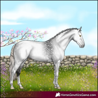 Horse Color:Gray Liver Chestnut Tobiano